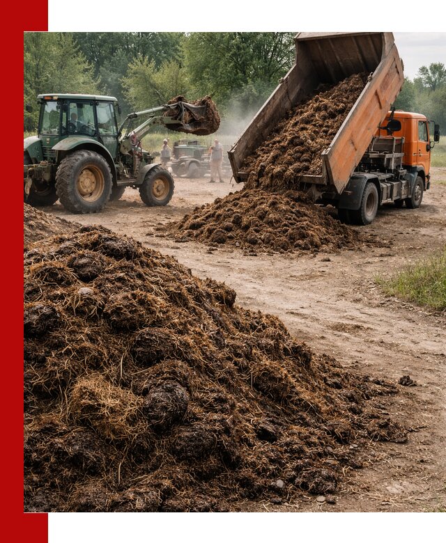 Доставка навоза самосвалами в Кронштадте для сельхозпотребностей